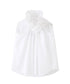Gather Stand Collar Blouse